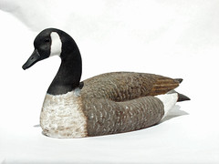 Canada Goose - Detailed