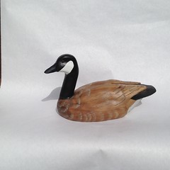 Canada Goose - Natural