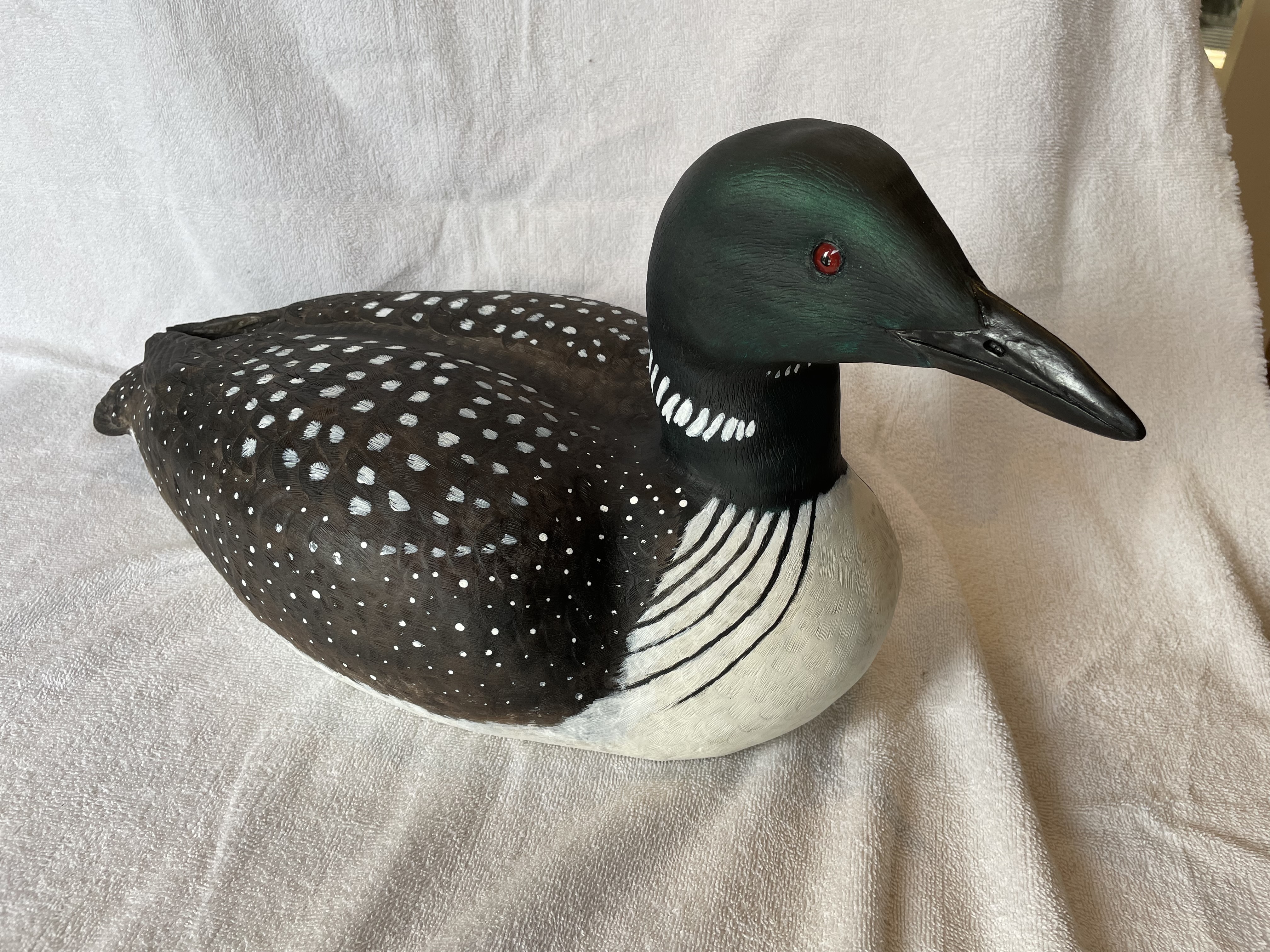 Common Loon