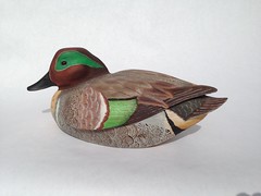 Green-winged Teal