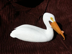 Pelican